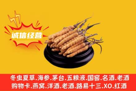 保定市唐市回收冬虫夏草